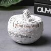"Moon Shape" - Cement Ashtray With Lid - white with astronaut