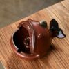 "Sea Fish" - Ceramic Ashtray - Various Colors