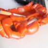 Crab Resin Cigarette Ashtray