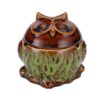 Cute Owl Ashtray With Lid Green Color