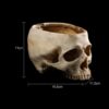 dimensions of Skull Ashtray