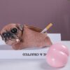 Funny Dog Ashtray Resin Covered