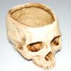 Resin Skull Ashtray - Cool Home And Office Decoration