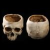 Resin Skull Ashtray showing front and rear