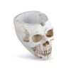 Small Skull Asthray home and office decoration