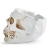 Small Skull Asthray photographed from the left side