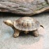 Vintage Cast Iron Turtle Ashtray With Lid